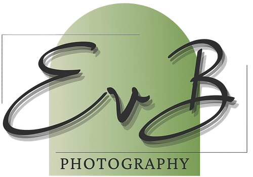 site-logo