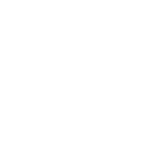 Larisa Photographer