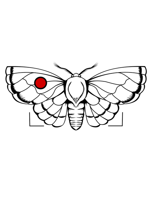 Patterson PX