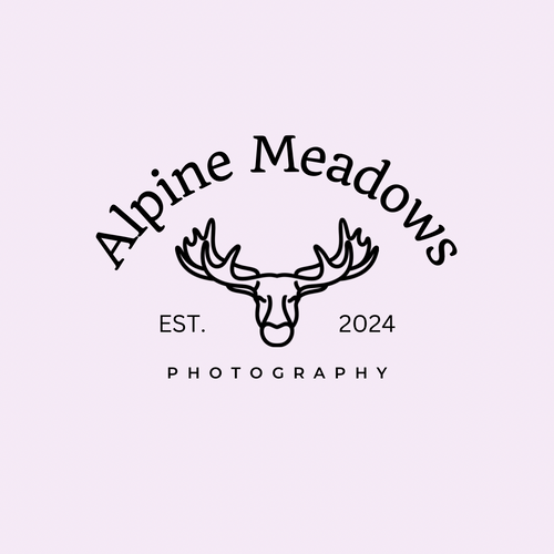 Alpine Meadows Photography