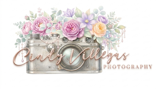 Cindy Villegas Photography