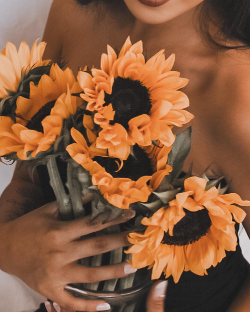 Anaya Danica Photography