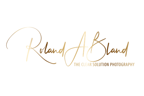 The Clear Solution Photography LLC
