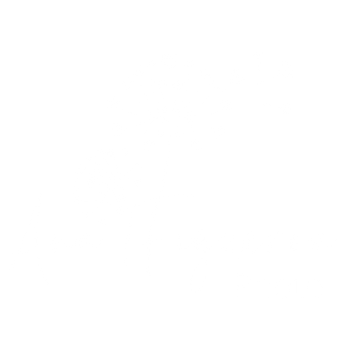 Ana Figueroa photo