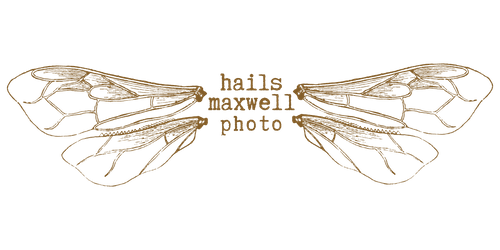 hails maxwell photographer