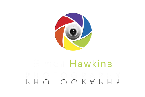 site-logo