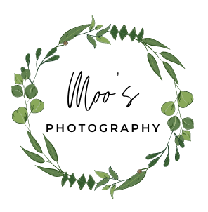 Moosphotography