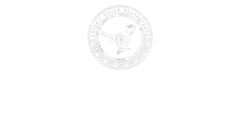 Abigail Smith Photography
