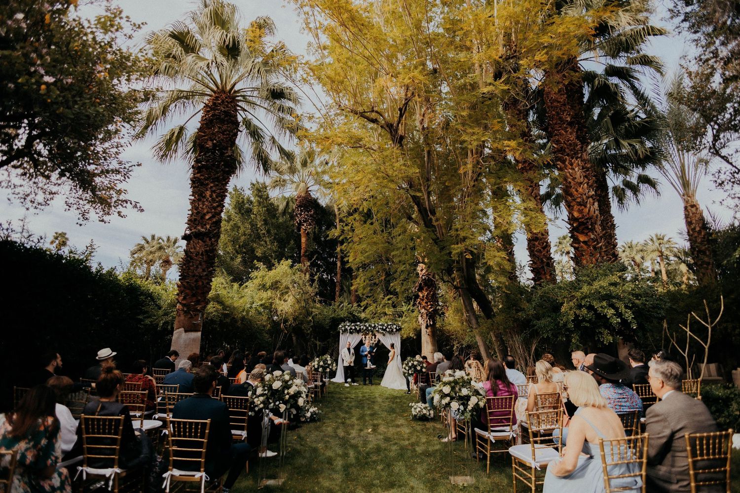 Outdoor wedding ceremony setup with wooden chairs under palm trees and autumn foliage.