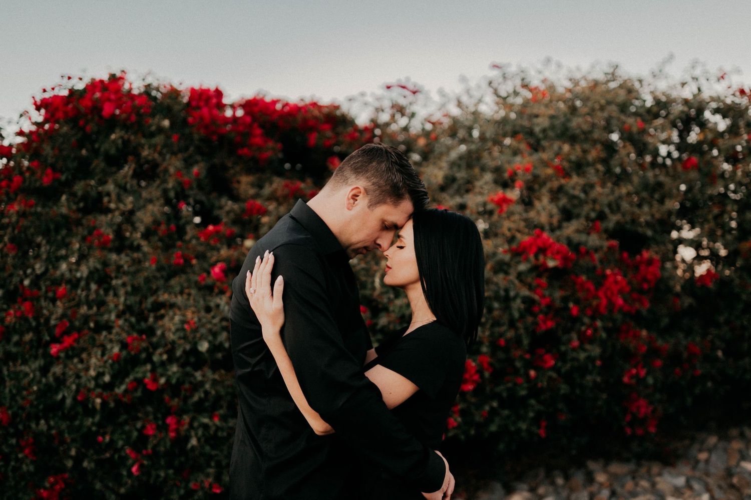 Beautiful proposal moment in front of a vibrant red rose garden during golden hour sunset.