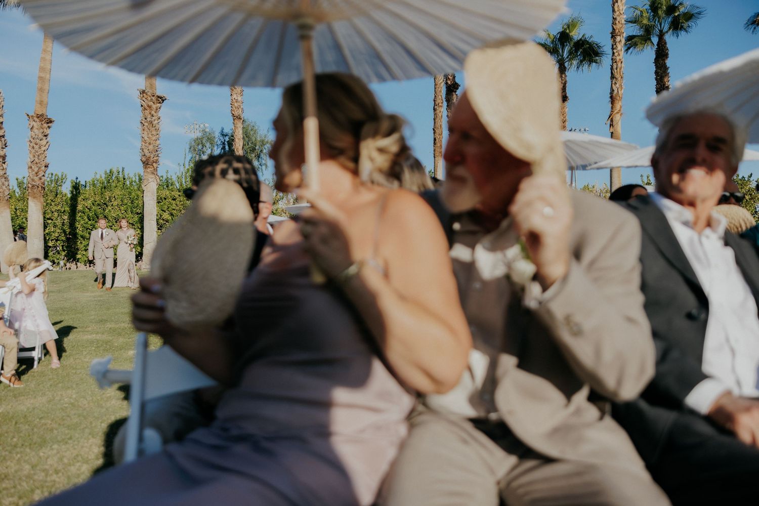 A series of candid photos showing couple sharing quick kisses outdoors in a park-like setting with sun-lit scenery.