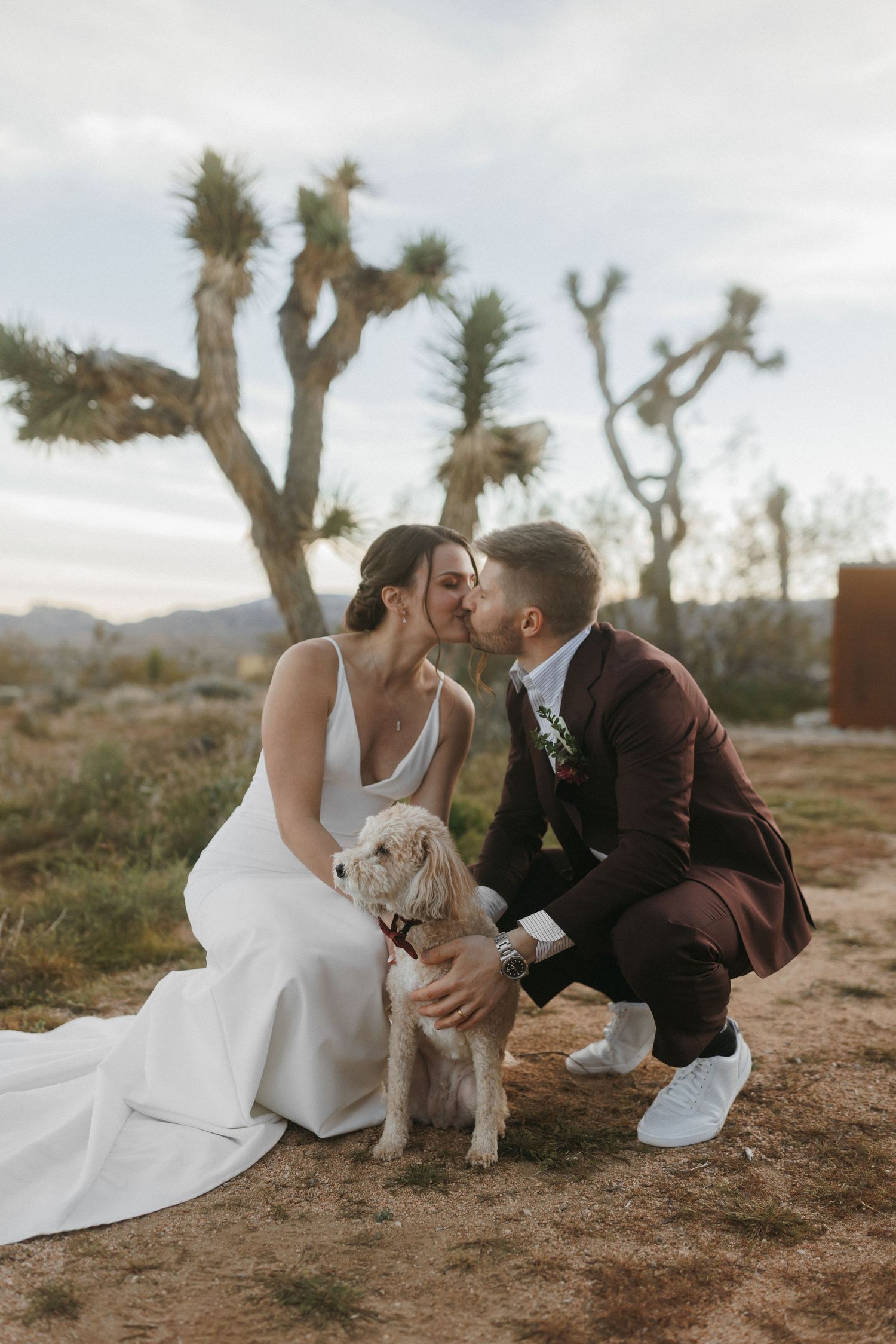 Bride and groom kiss while holding their small dog at a Joshua Tree desert wedding.