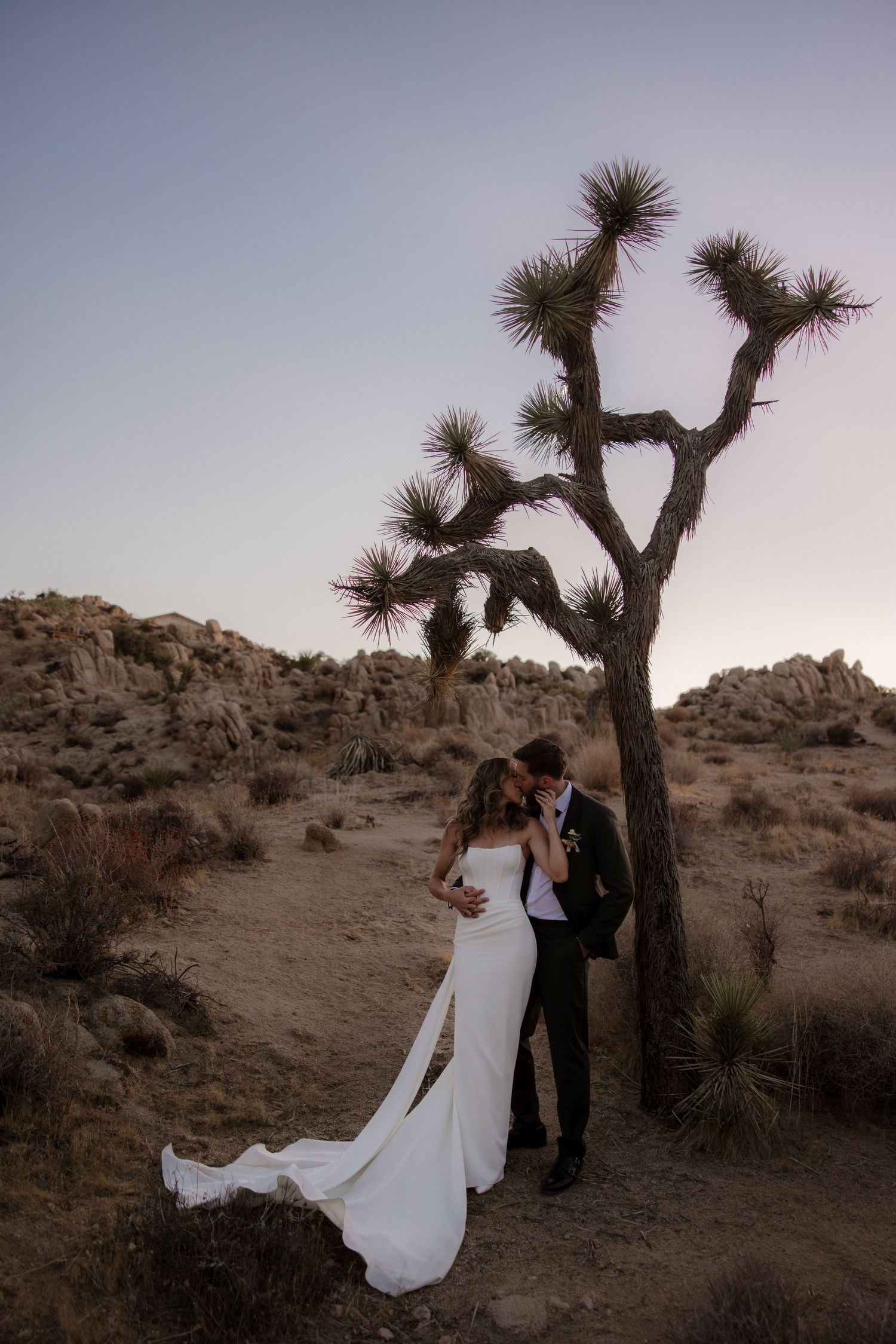 A couple shares an intimate moment under a Joshua Tree at dusk in a desert landscape.