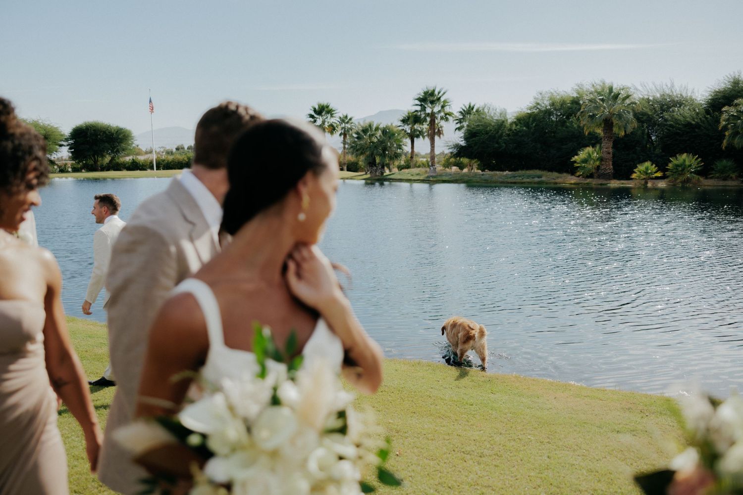 Collage of sunny waterfront wedding ceremony images showing views of a lake, chairs, and white floral decorations.