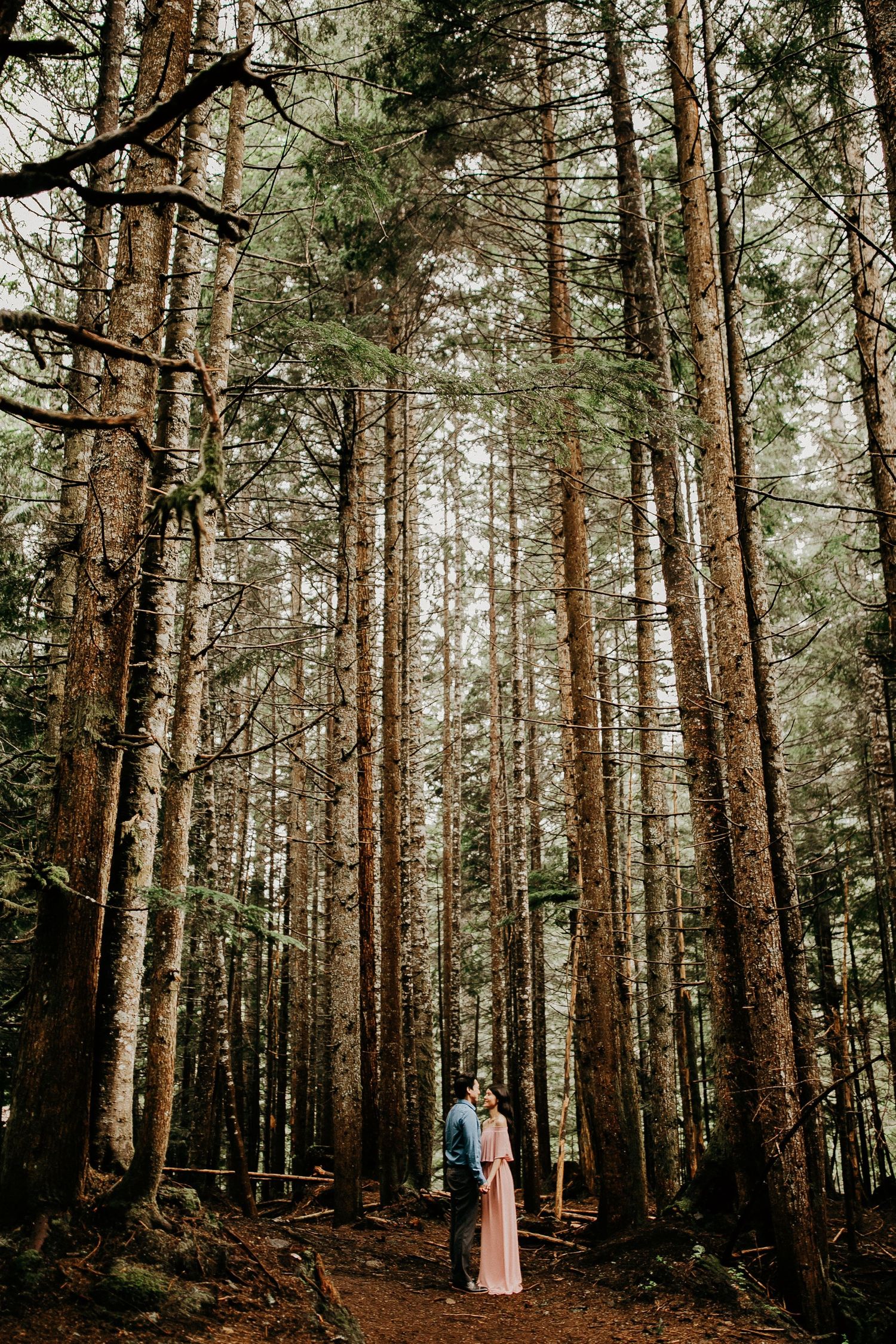 A couple walks through a serene pine forest with tall trees creating a natural cathedral-like setting.