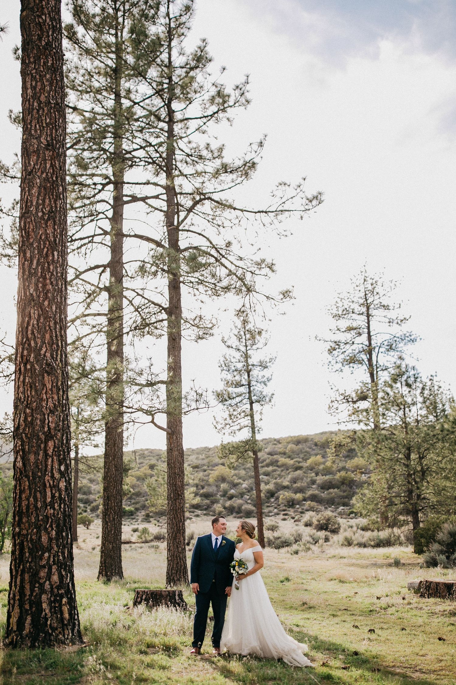 Wedding ceremony in a serene forest clearing surrounded by tall pine trees in natural sunlight.
