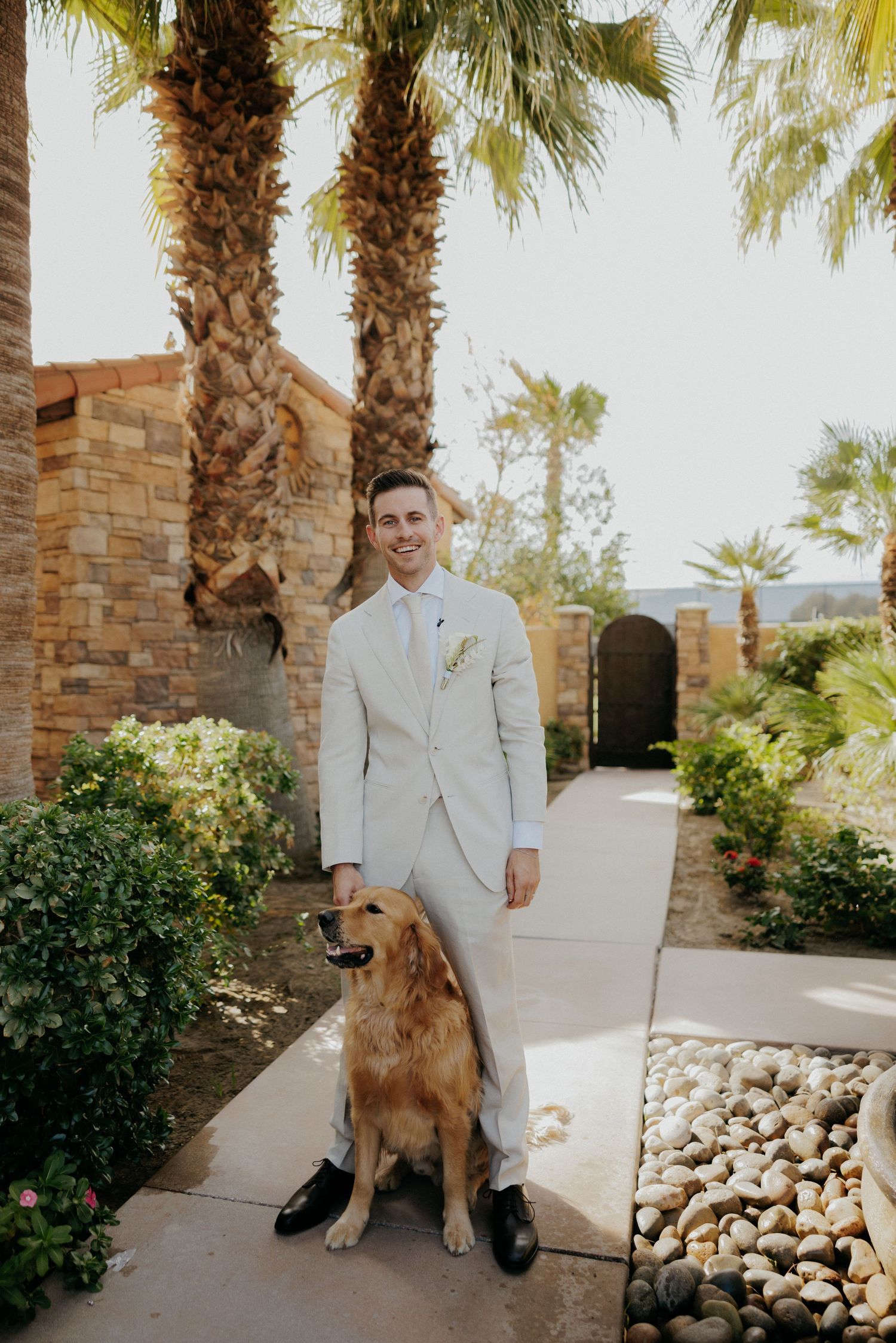 A golden retriever dog poses with someone wearing a light beige suit on a stone walkway with palm trees in the background.
