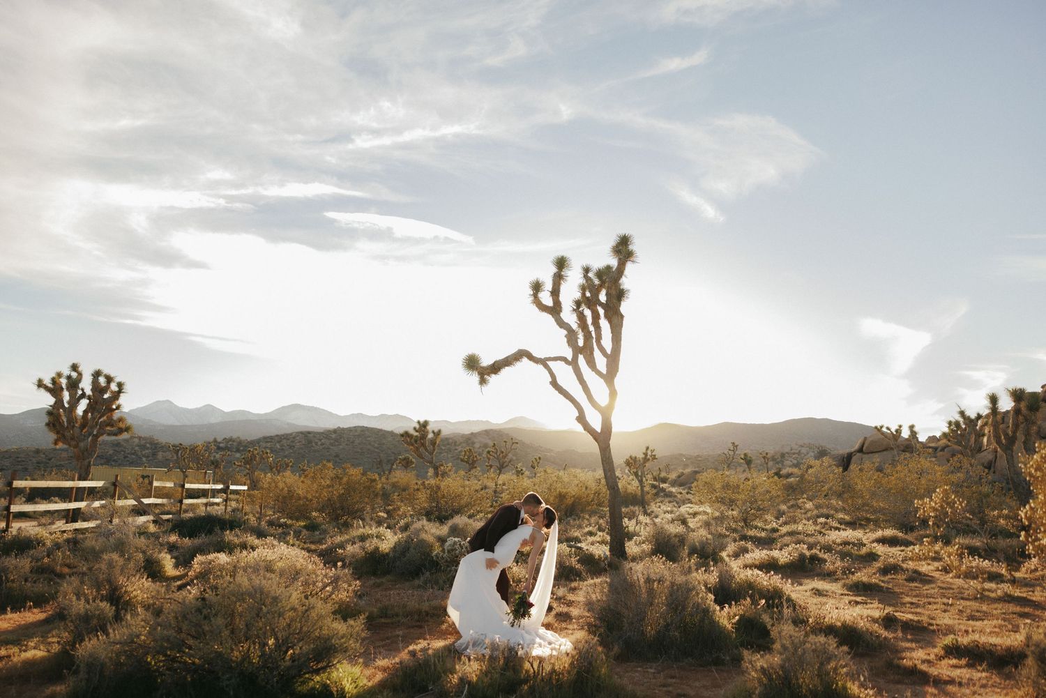 Couple shares romantic dip kiss near Joshua Tree at golden hour in desert landscape.