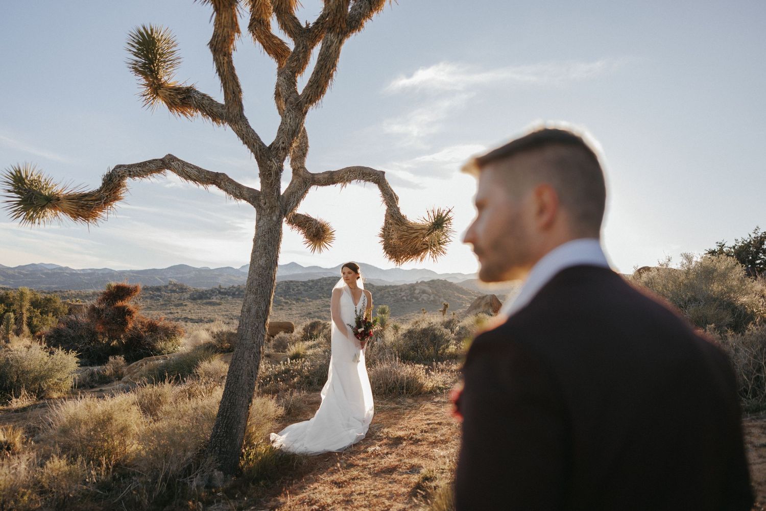 Bride stands by Joshua tree as groom looks on in desert wedding portrait.