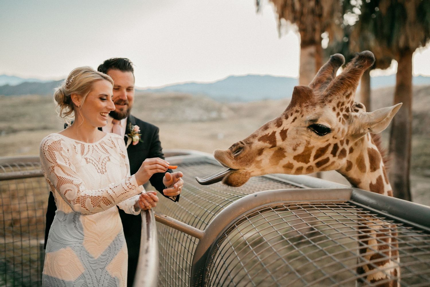 Wedding couple sharing an intimate moment under trees at sunset with desert landscape in background.