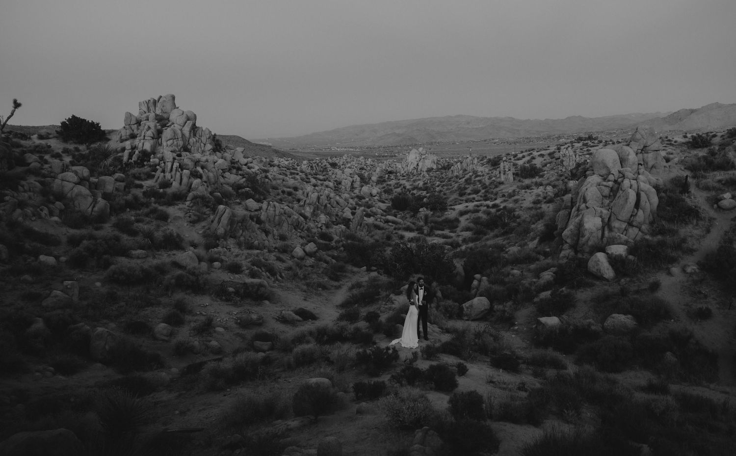 Scenic black and white panorama of a mountainous desert landscape with rugged rock formations stretching to the horizon.