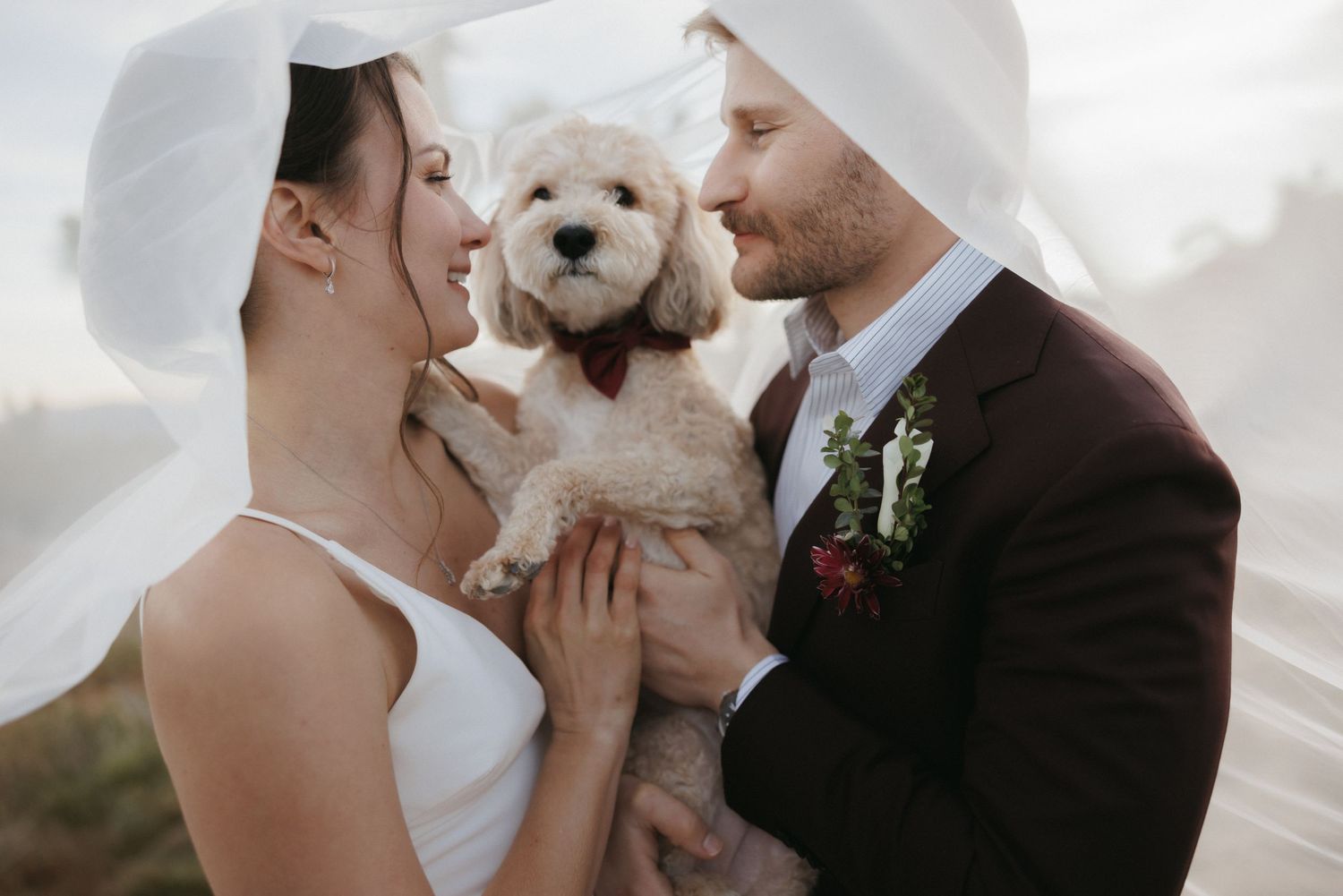 Happy bride and groom kissing their fluffy cream dog wearing a red bow tie on their wedding day.
