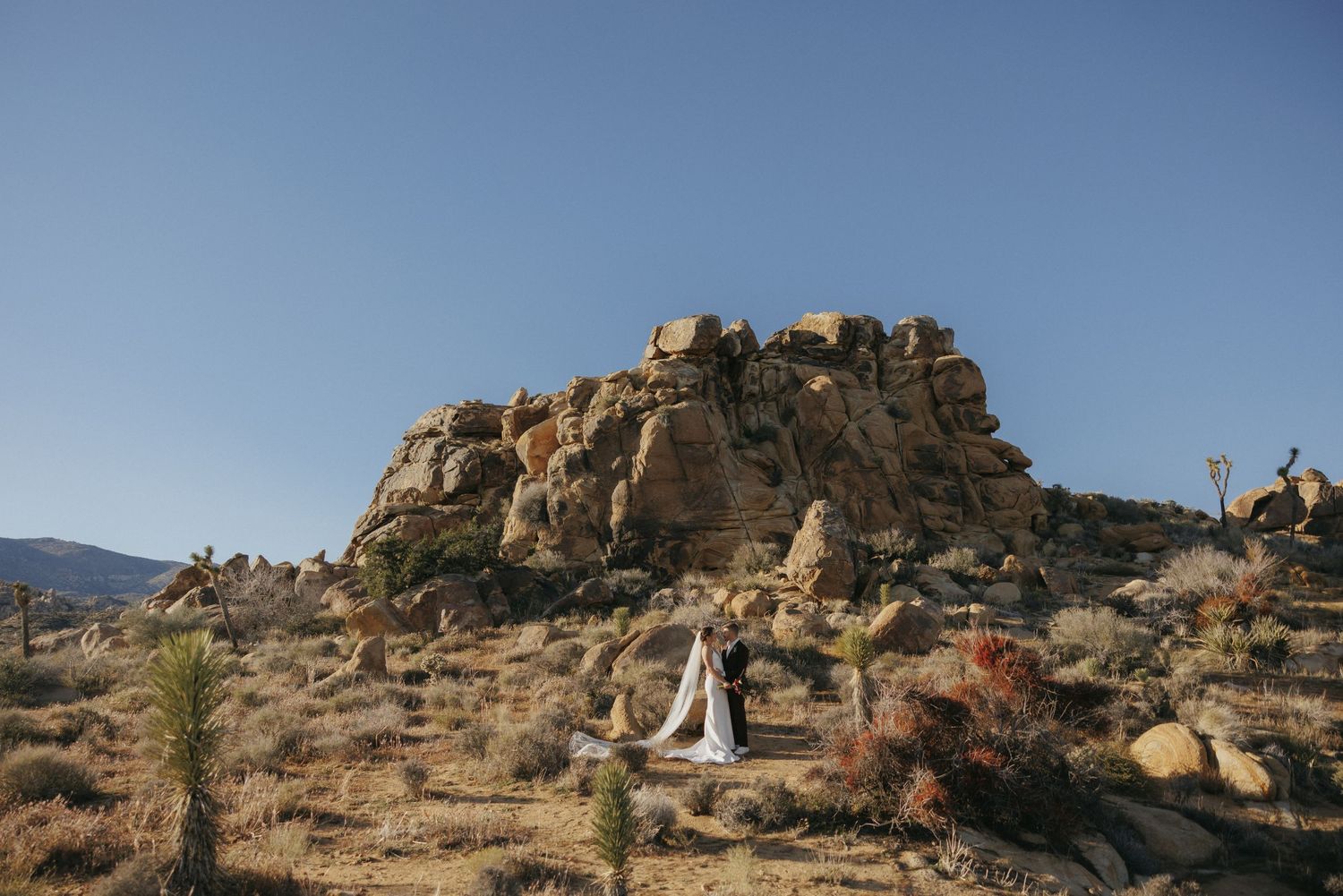A bride in a flowing white gown poses before a dramatic rocky hillside in a sun-drenched desert landscape.