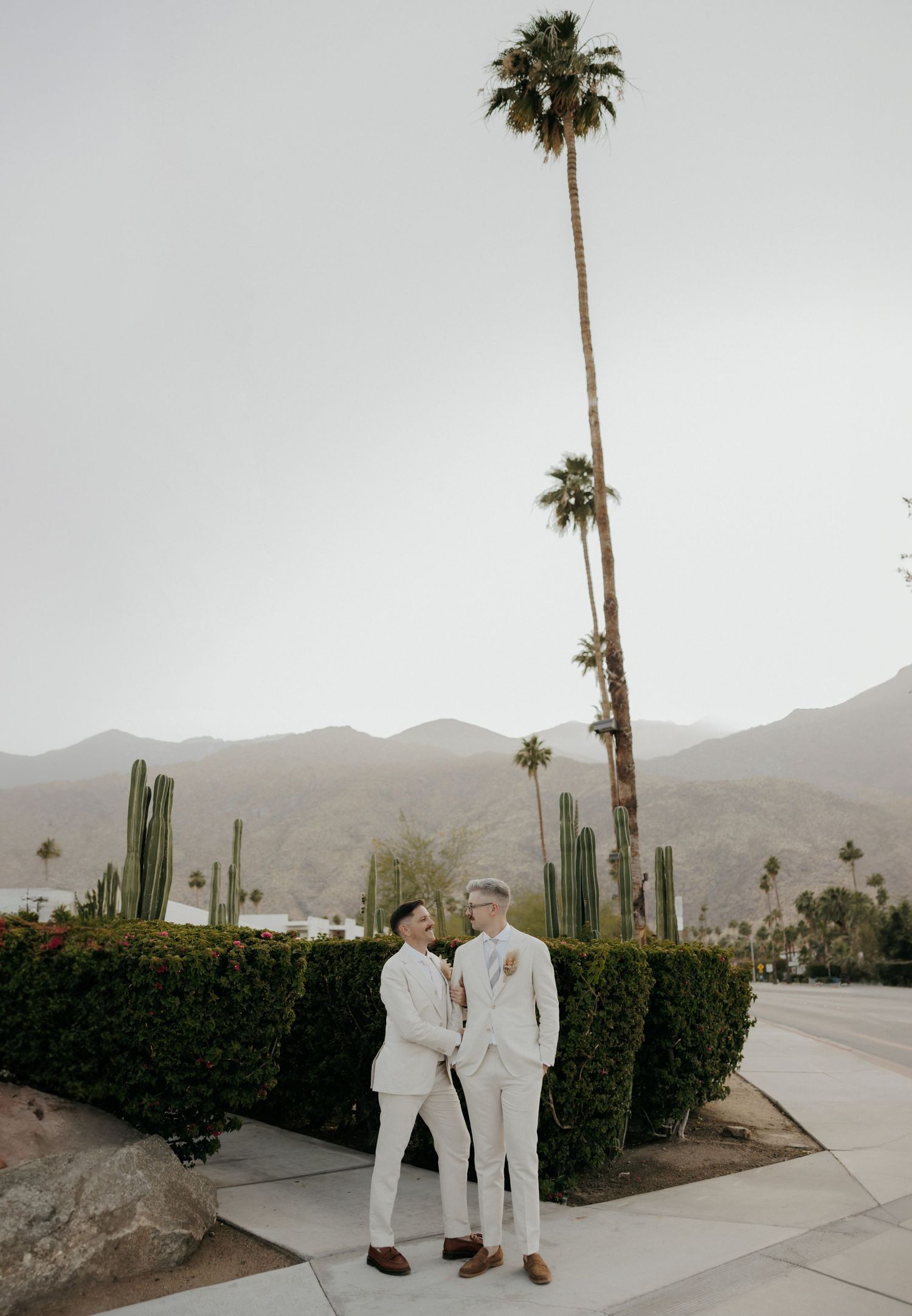 A desert landscape with tall palm trees and mountains, featuring white attire against a cactus garden setting.