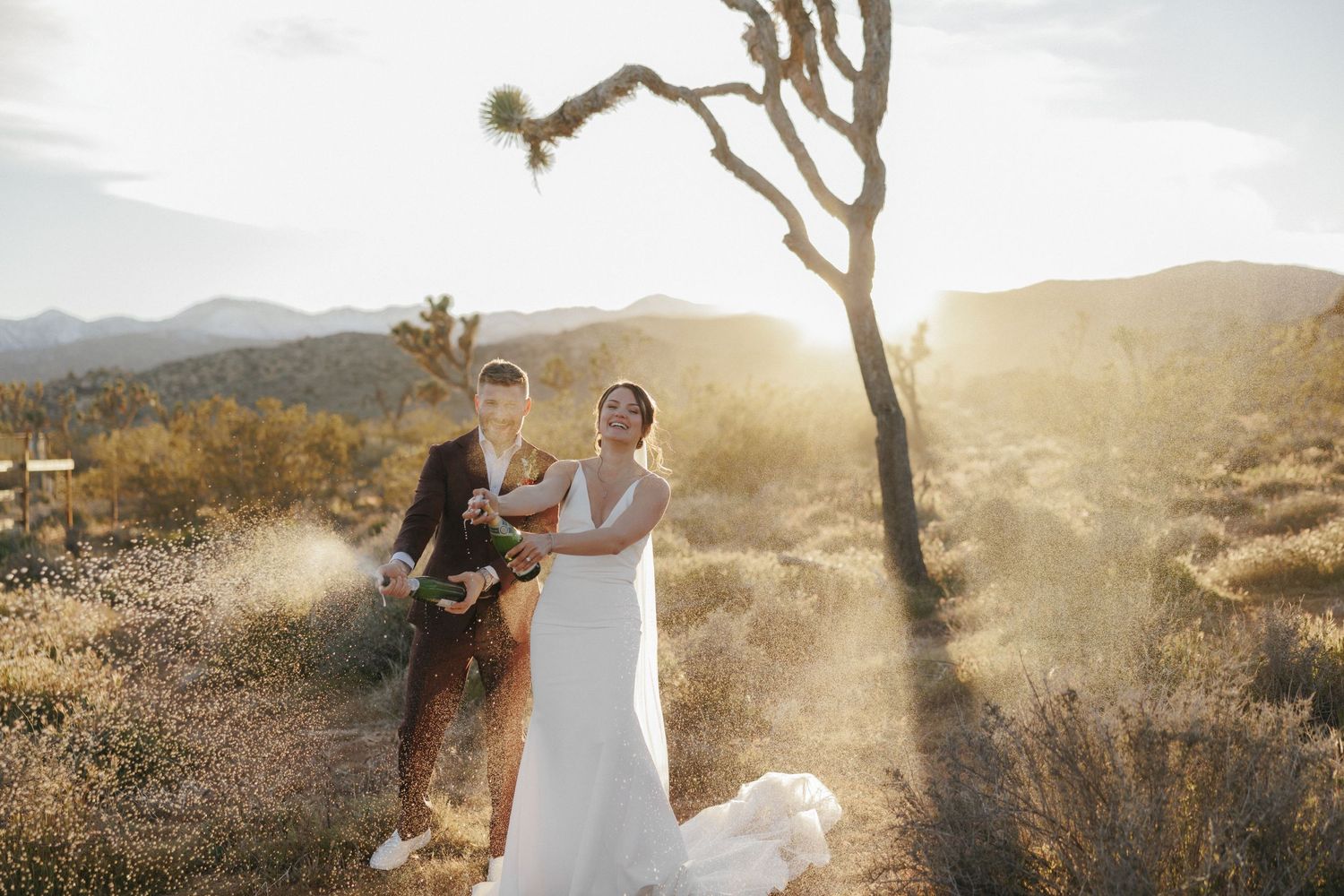 Newlyweds celebrate with champagne beside a Joshua Tree in glowing desert sunset light.