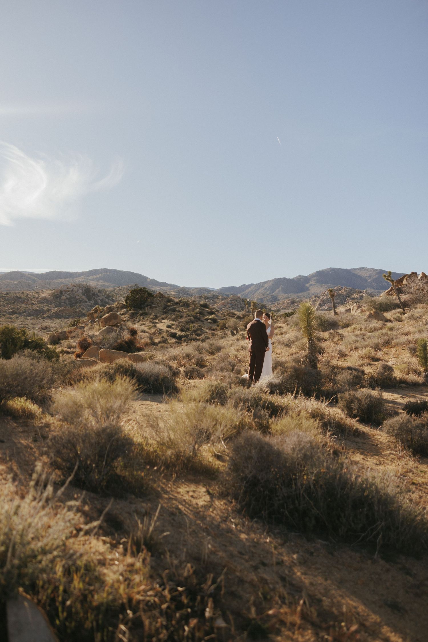 Bride and groom embrace on a desert path surrounded by Joshua trees and rocky mountains at sunset.
