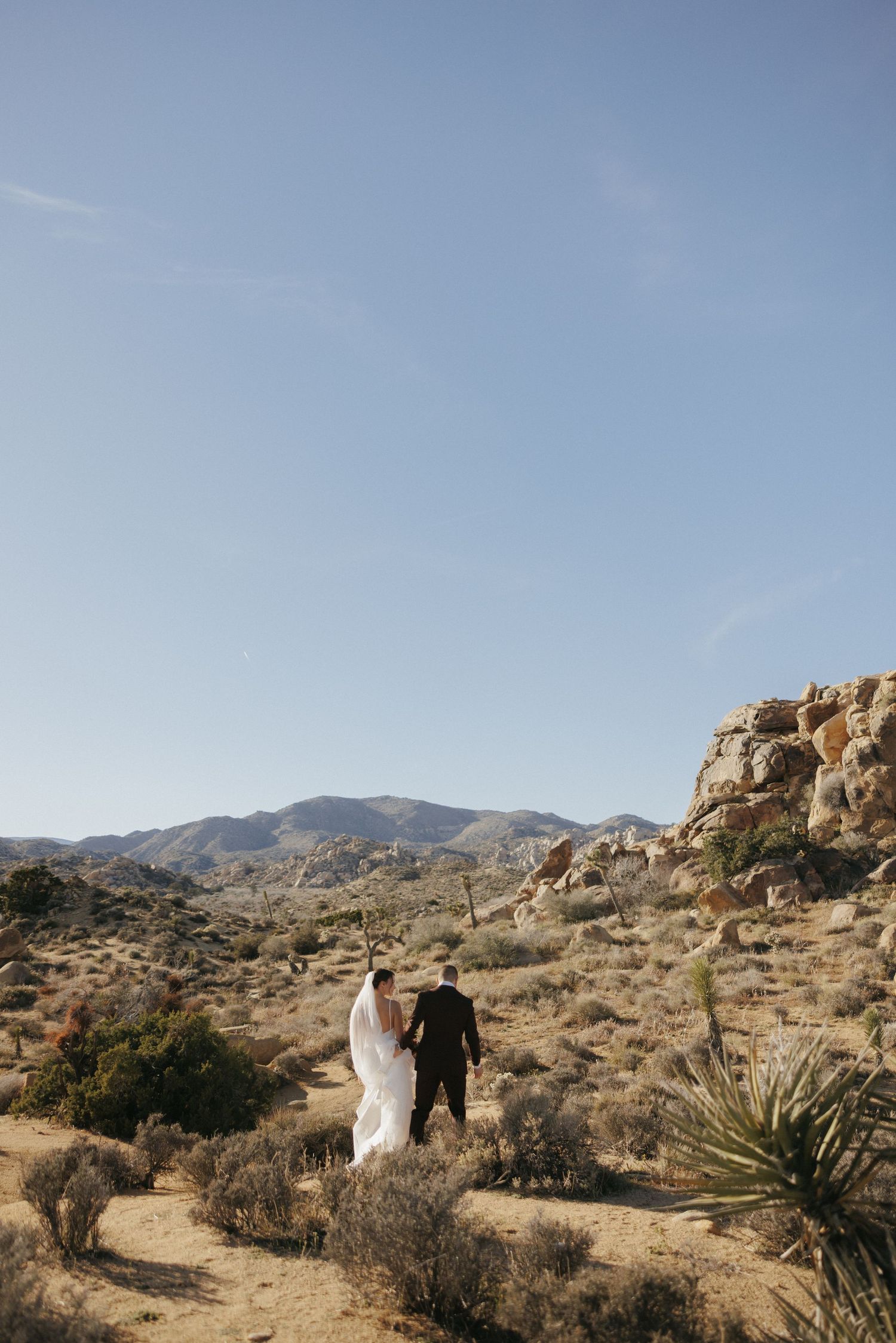 Bride and groom walk hand-in-hand through Joshua Tree desert landscape with rocky mountains in the background.