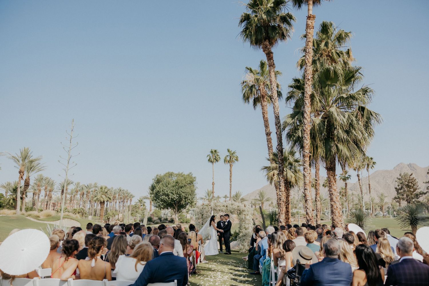 A multi-panel outdoor ceremony scene showing palm trees and guests gathered for a wedding celebration.