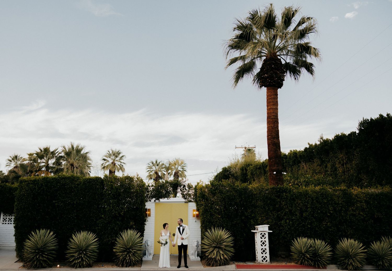 Palm tree lined outdoor wedding venue with desert landscape and blue sky.