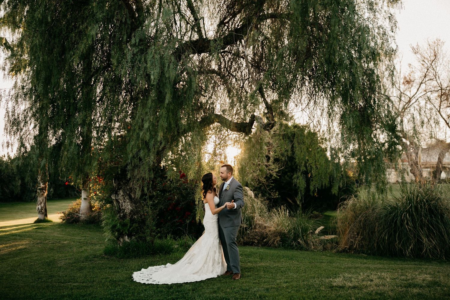 A romantic wedding photo series showing couples beneath drooping willow trees at sunset in a garden setting.