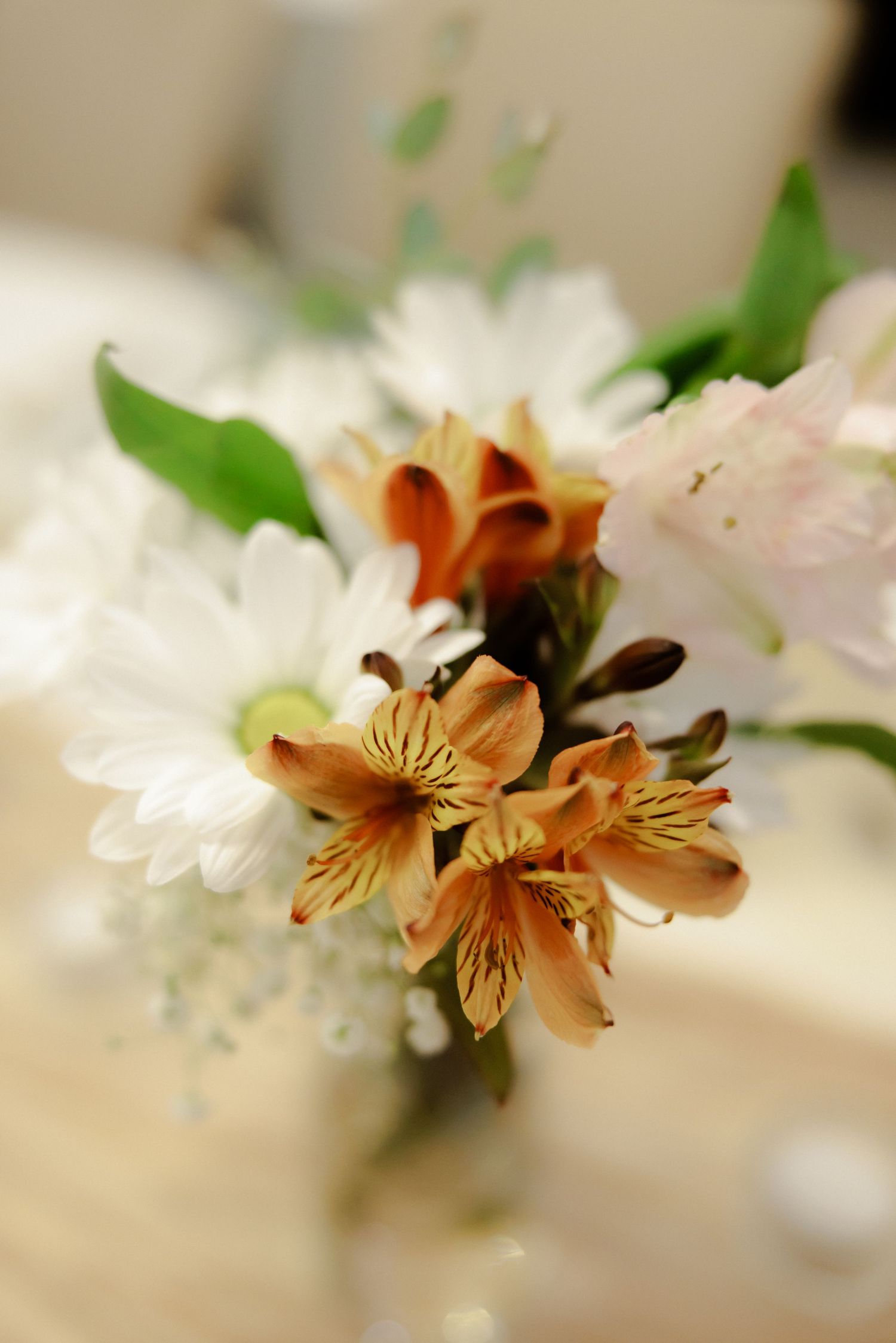 A series of delicate alstroemeria blooms in white and bronze colors shown in soft focus against a blurred background.