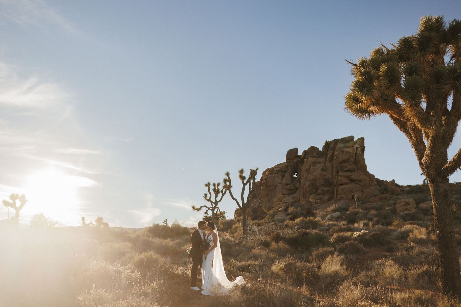 Bride and groom share romantic moment among Joshua trees at golden sunset.