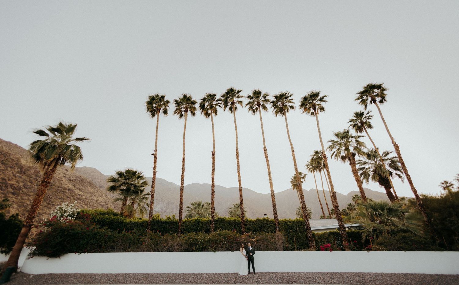 A series of palm trees line up against a cloudy sky in a minimalist panoramic landscape composition.