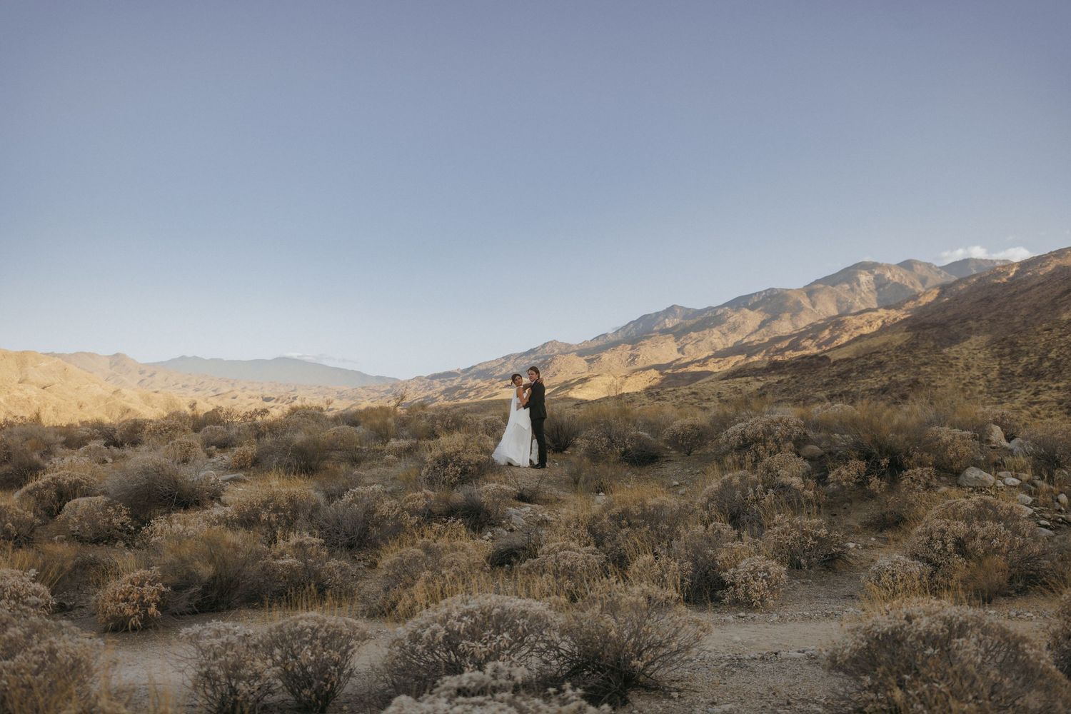 Bride and groom embrace in a vast desert landscape with rugged mountains and desert shrubs in Palm Springs.