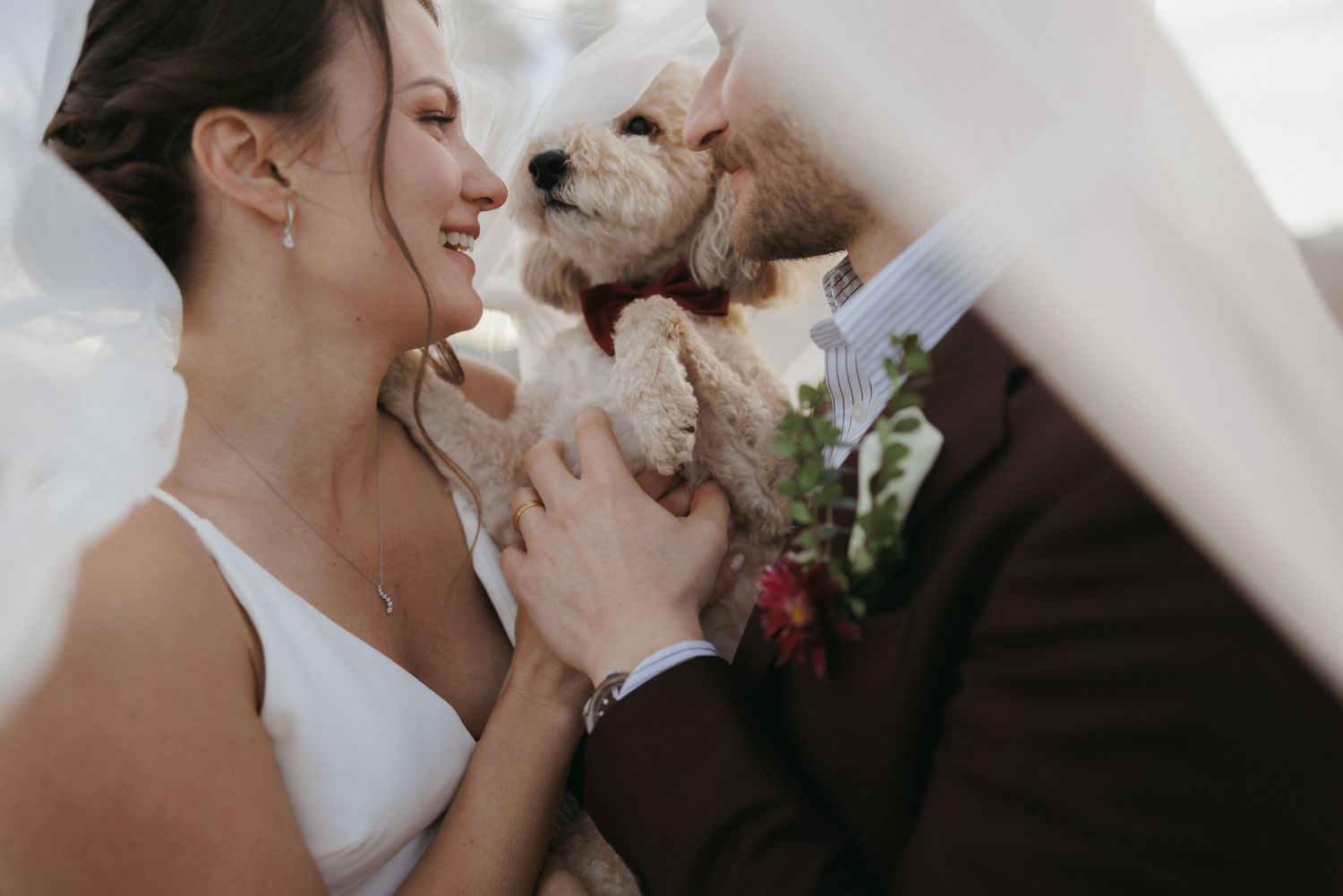 Smiling bride and groom cuddle an adorable fluffy puppy beneath a flowing white wedding veil.