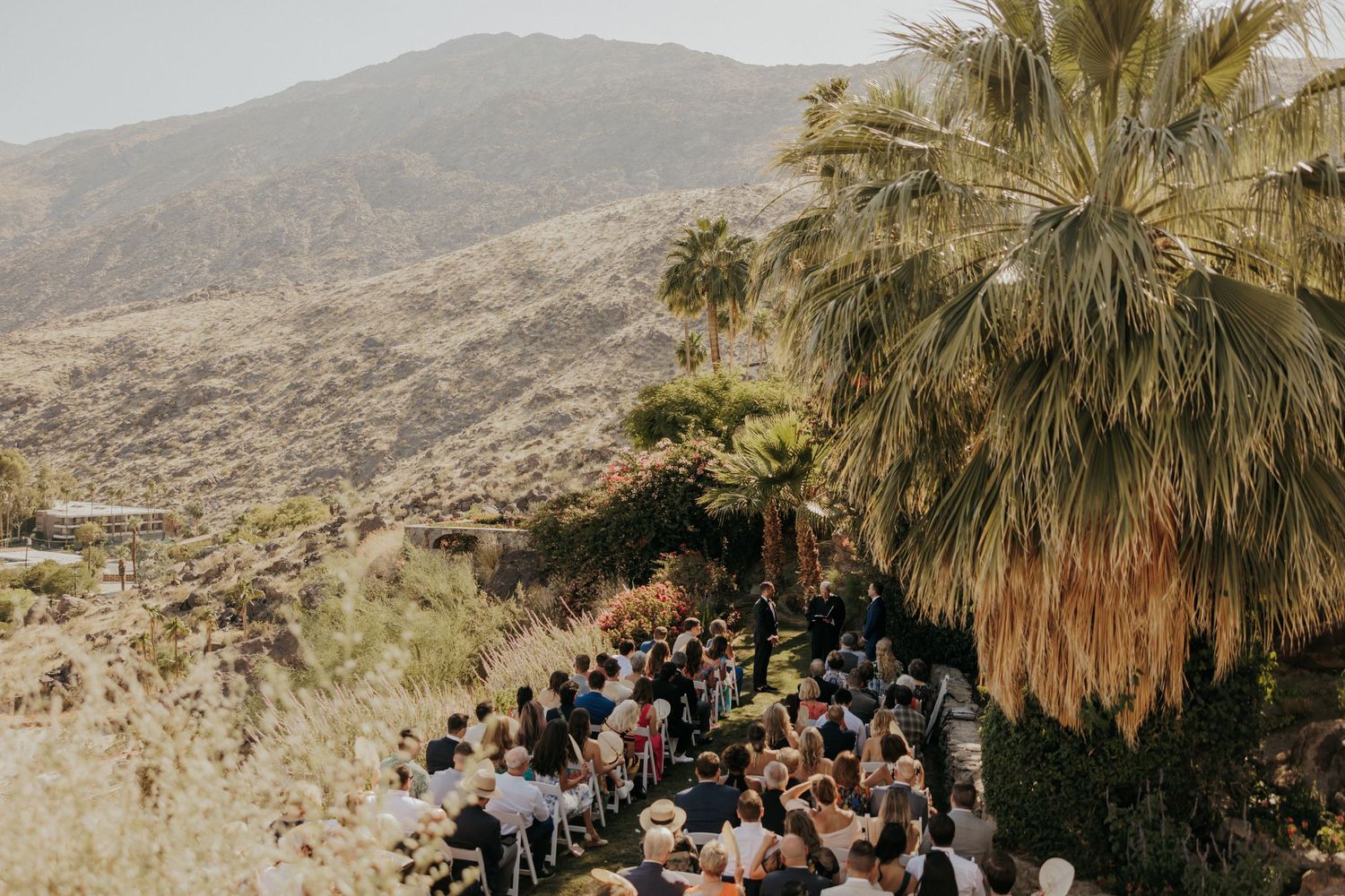 Desert landscape with palm trees and distant mountains in Greater Palm Springs area during golden hour.