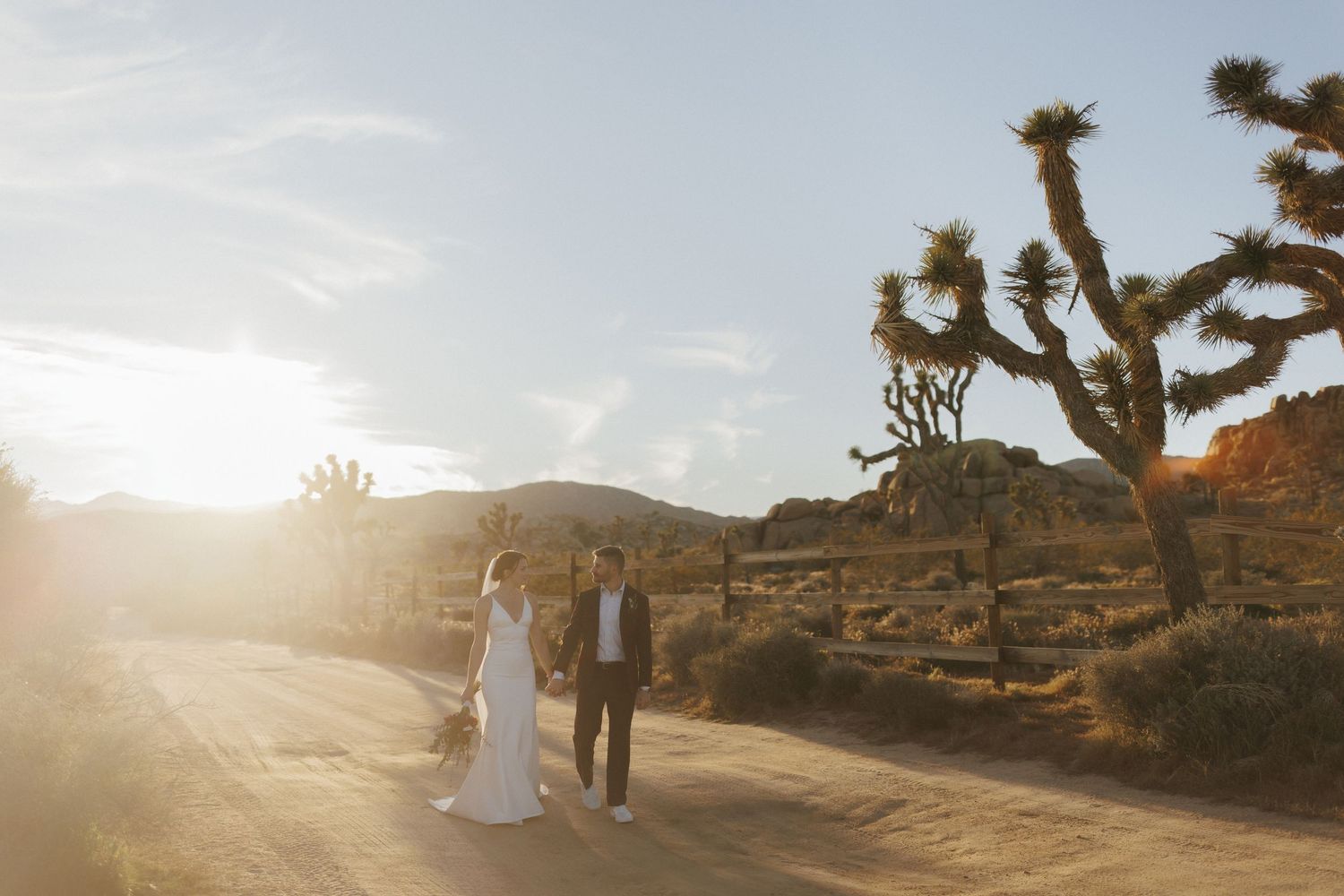 Bride and groom walk along a sunlit desert road lined with Joshua trees at golden hour.
