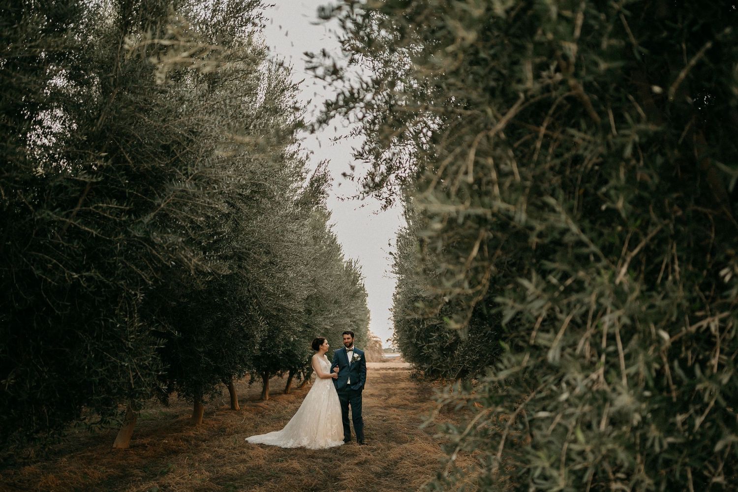 Couple posing in a tree-lined orchard on a winter day with a moody overcast sky.