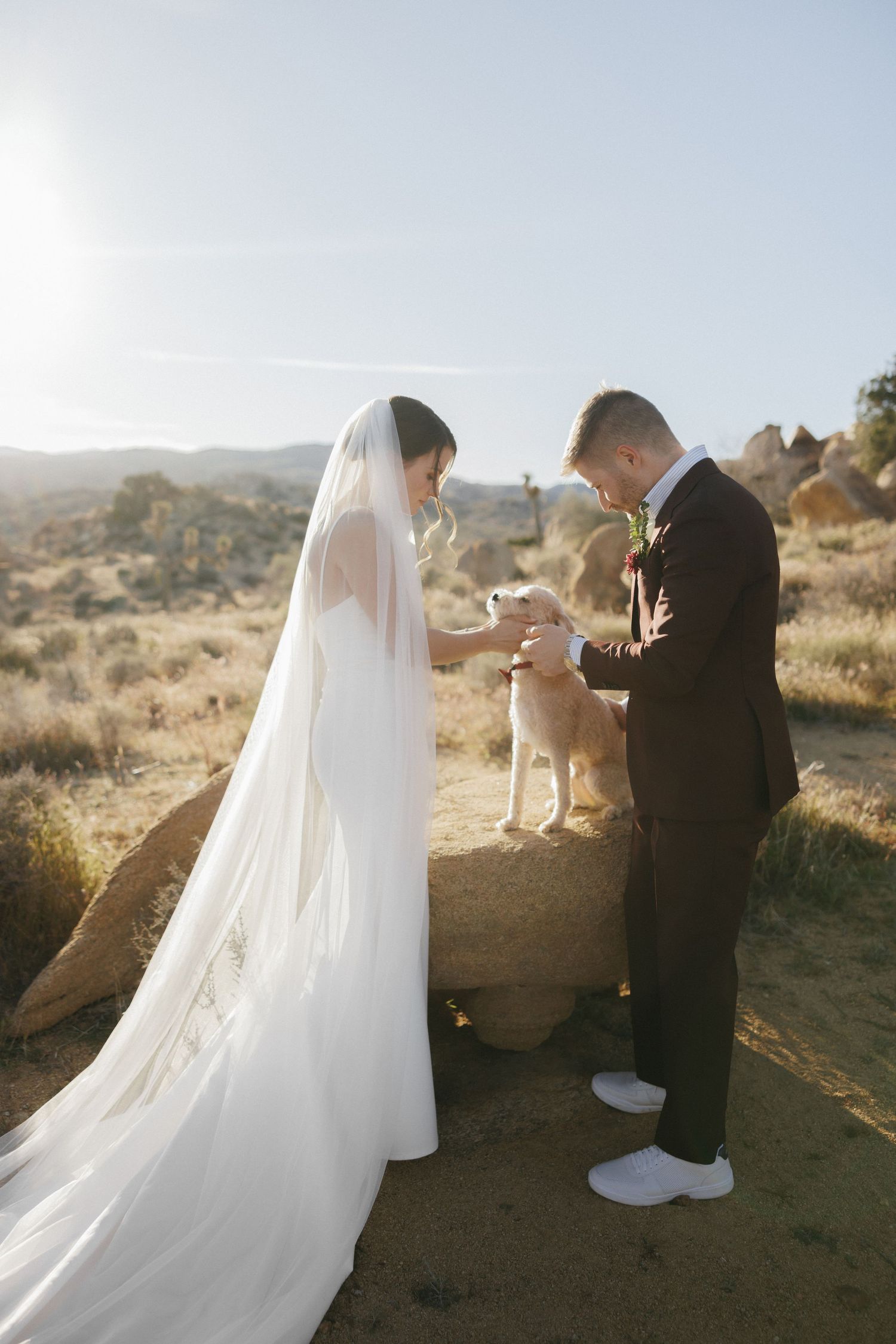 Bride and groom exchange vows outdoors in desert setting with dog on rock and long flowing veil.