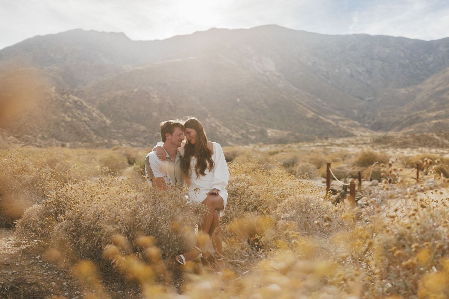 Couple sitting together in a sunlit desert field with golden wildflowers and mountain backdrop.