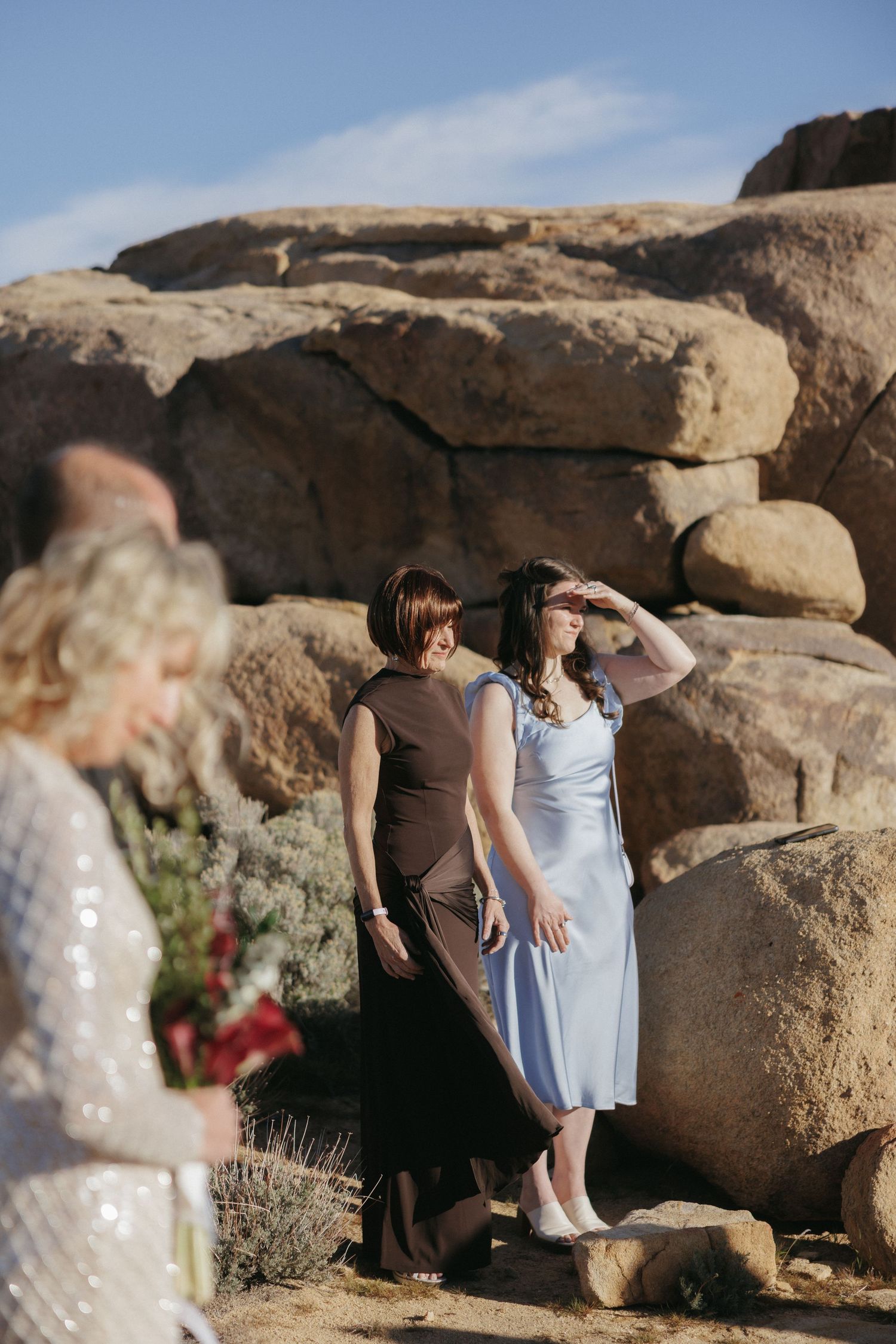Wedding guests in elegant attire stand among large boulders at a sunny desert wedding celebration.