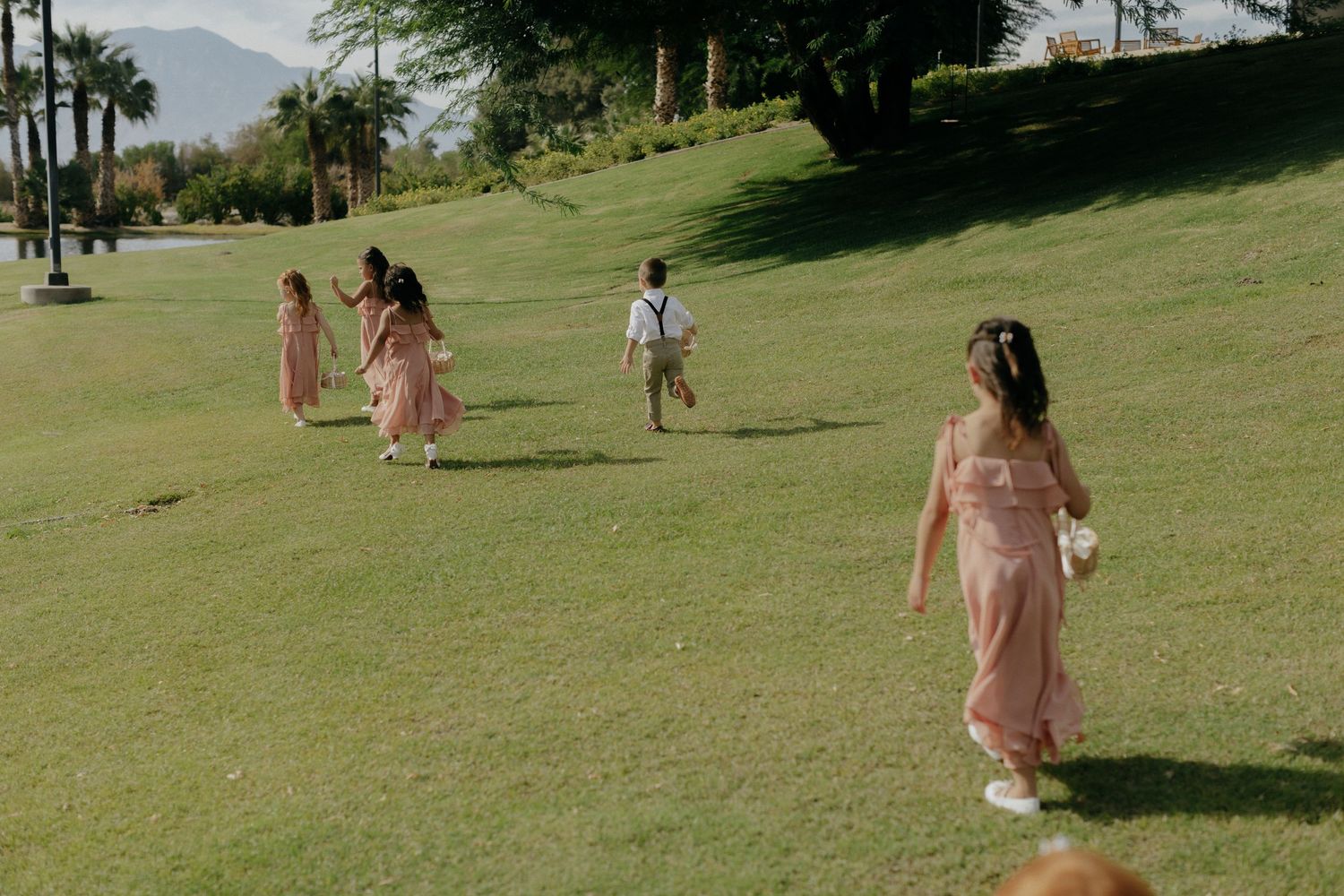 People enjoying a sunny afternoon on a grassy hillside with palm trees and mountains in the background.