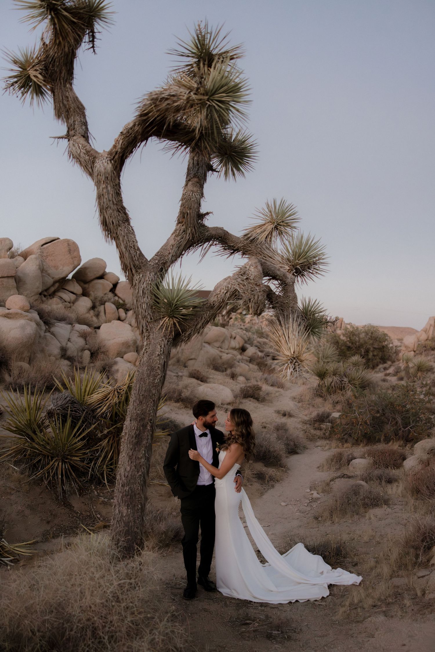 Desert wedding scene with Joshua Trees and rock formations during sunset in Joshua Tree National Park.