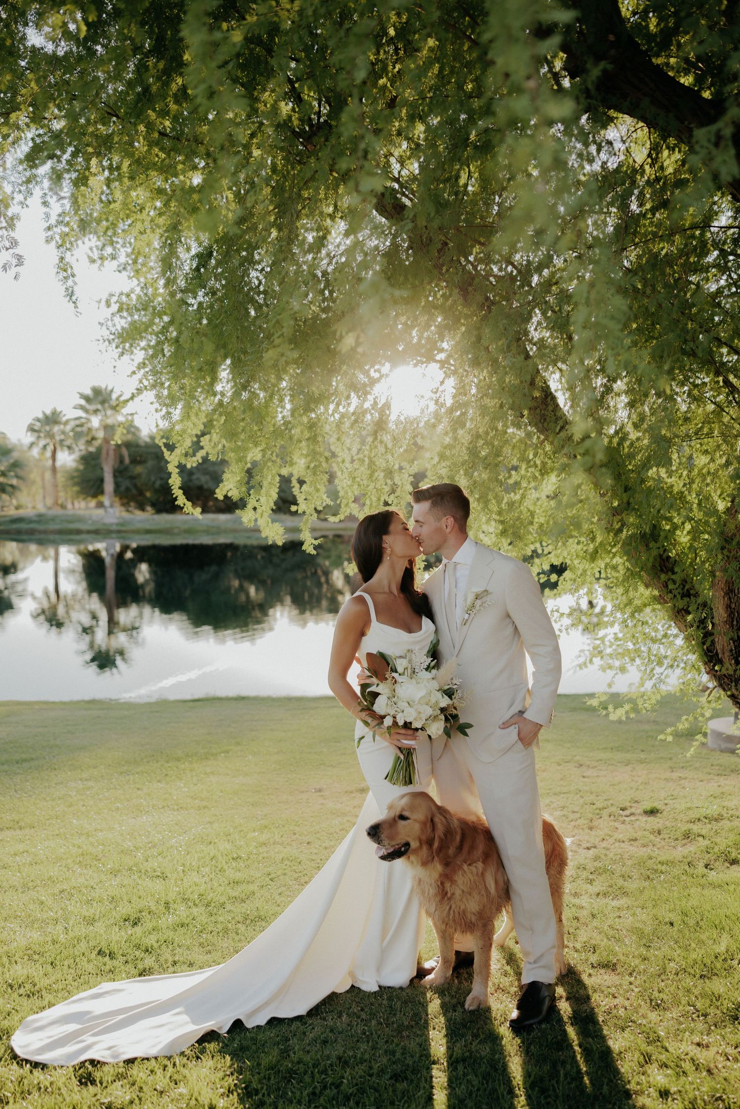 A joyful wedding photo series with a surprise guest appearance from a friendly brown alpaca in a sunny outdoor setting.