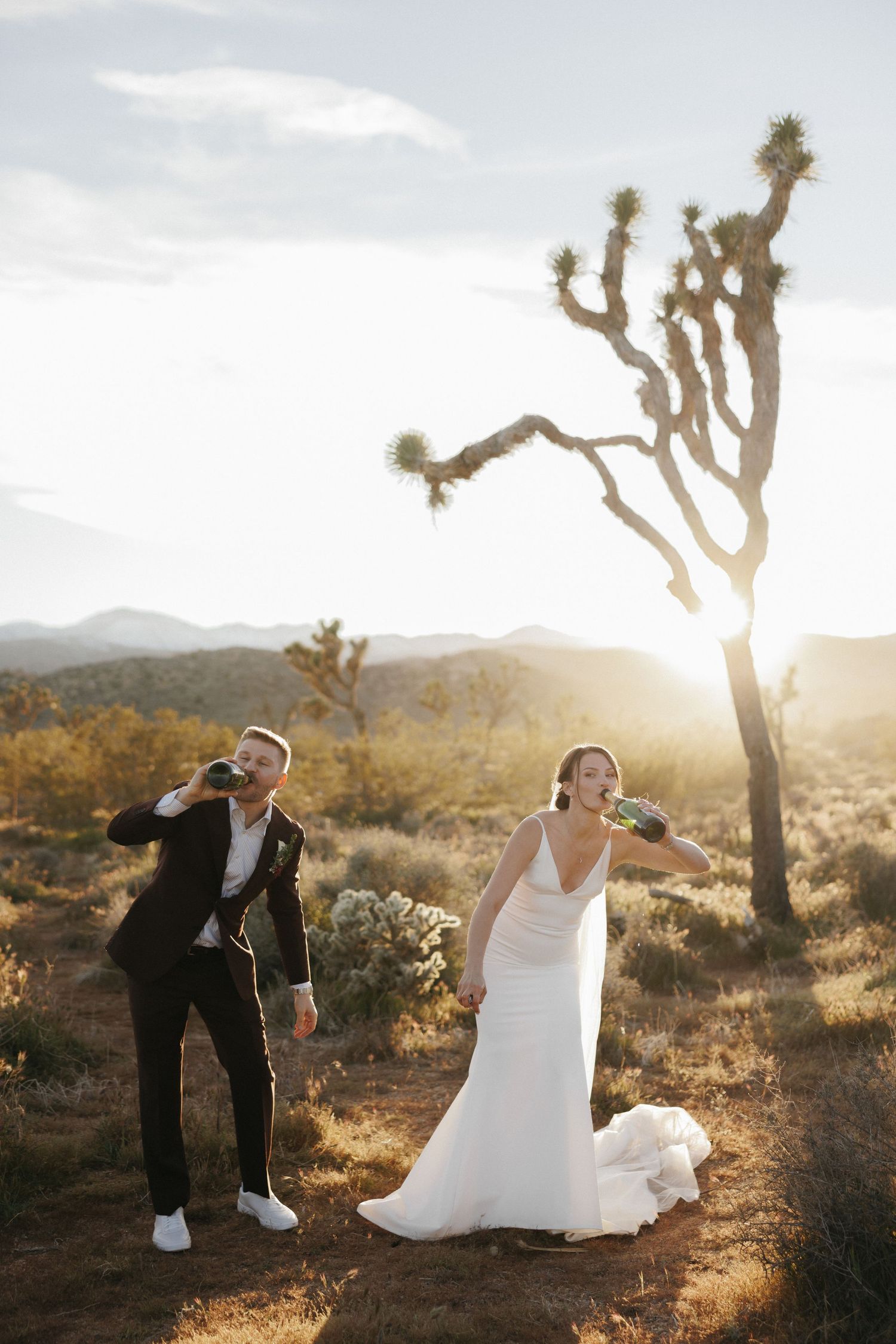 A bride and groom drink champagne beside a Joshua tree at golden hour in the desert.