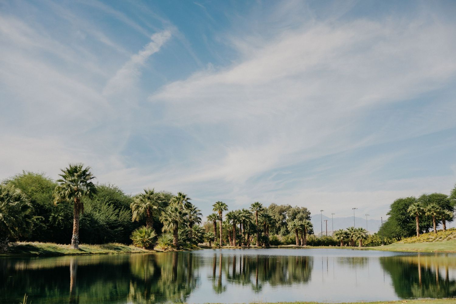 A serene lake with palm trees reflecting in calm waters under a bright blue sky with wispy clouds.